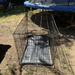 Dog Kennel 