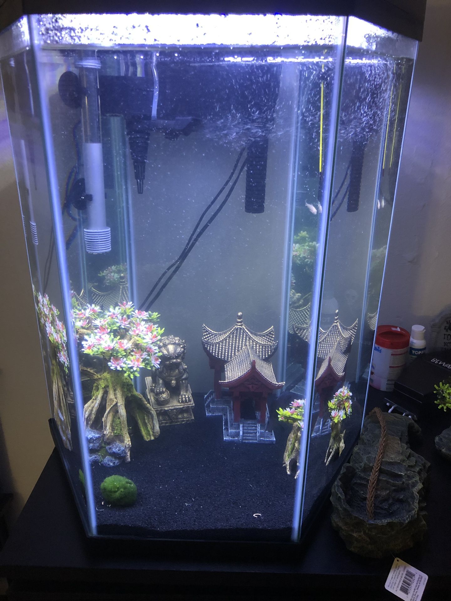 Top Fin Captivate Starter Kit 20 gallon