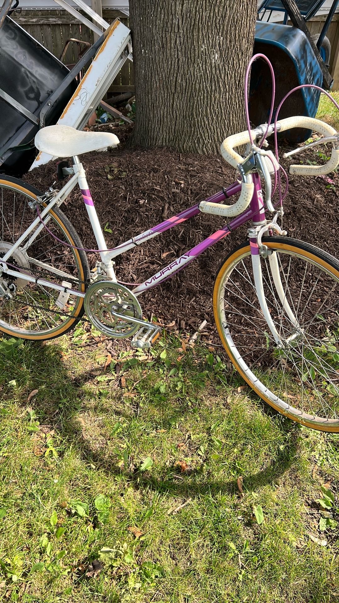 Murray Bike 26 Inch
