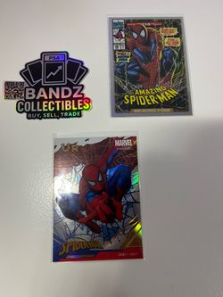 Spider-Man Collectors Cards (2Pc)