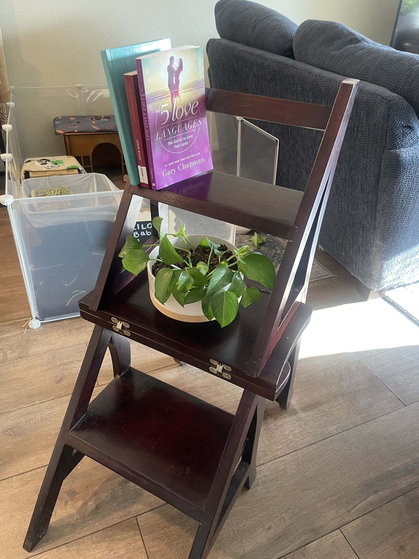 Antique Chair/ Step-ladder