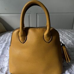 Lightly Cute Daily Purse (No Name Brand)