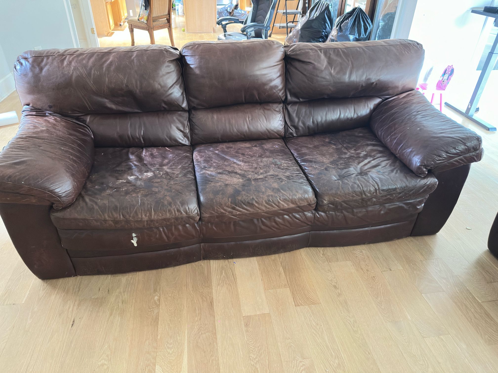 Couches