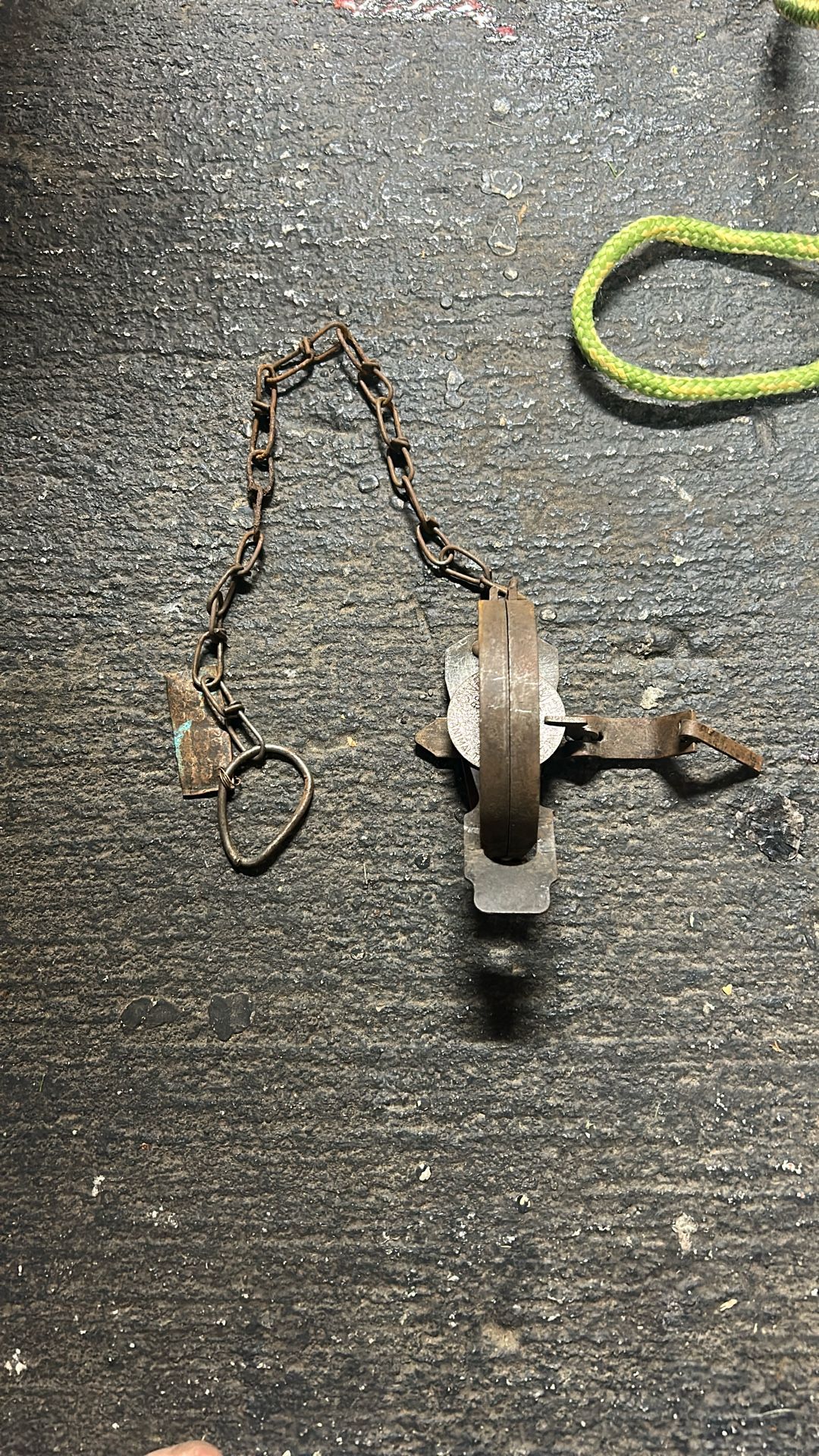 Vintage Small Game Trap