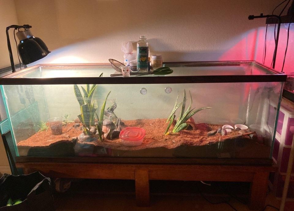 100 gallon tank with stand