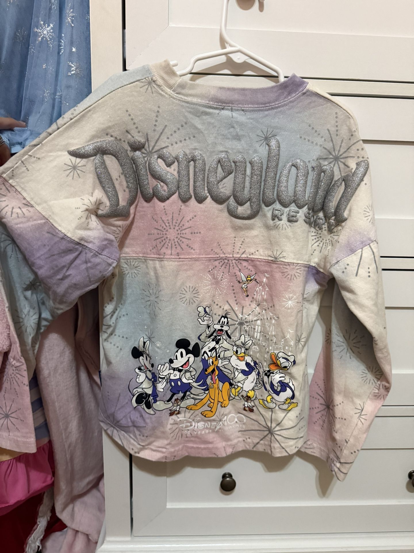 Disneyland 100 Years Of Wonder Spirit Jersey