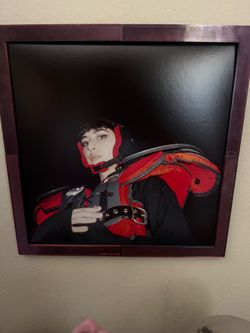 Vinyl Record Wall Display Frame 🖼️