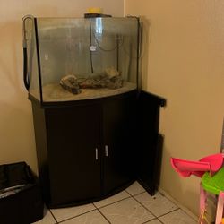 30gallon Aquarium 