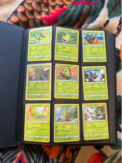 Pokémon Cards Bulk Binder