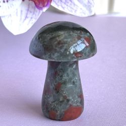 Bloodstone mushroom 
