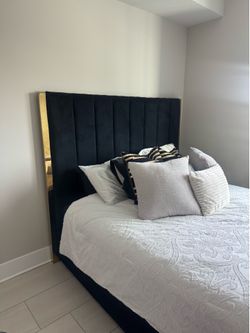 Modern Black Velvet Platform Bed Frame with Gold Accents – Queen