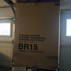 Speakers Yamaha 15 Inch 