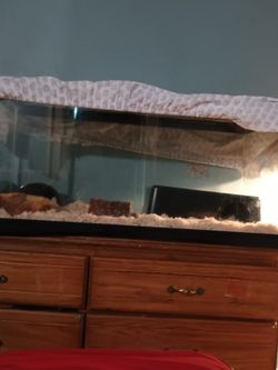 Reptile Cage