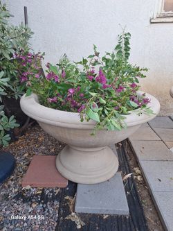 Pots By Kreiss  Concrete  20 H 34 W Inches 