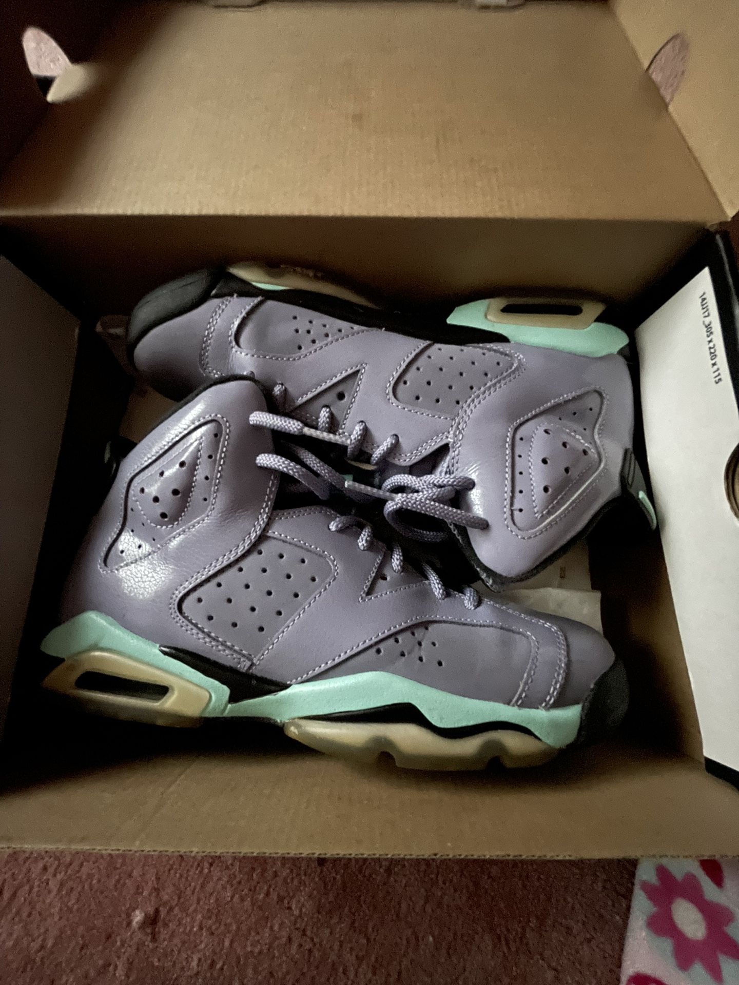 Retro Jordan 6 Purple Iron