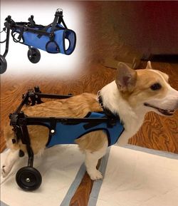 Dog Wheelchair for Back Legs