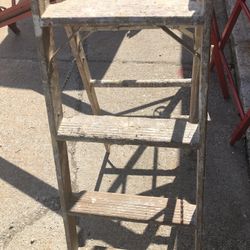 4ft Painters Ladder 