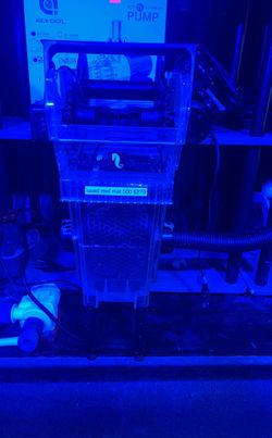 Used Aquarium Filter