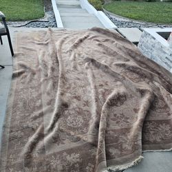 Rug $50 Dollars Cheap Just Needs Cleaning