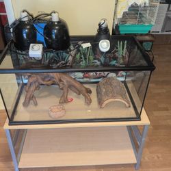 Lizard Terrarium And Stand