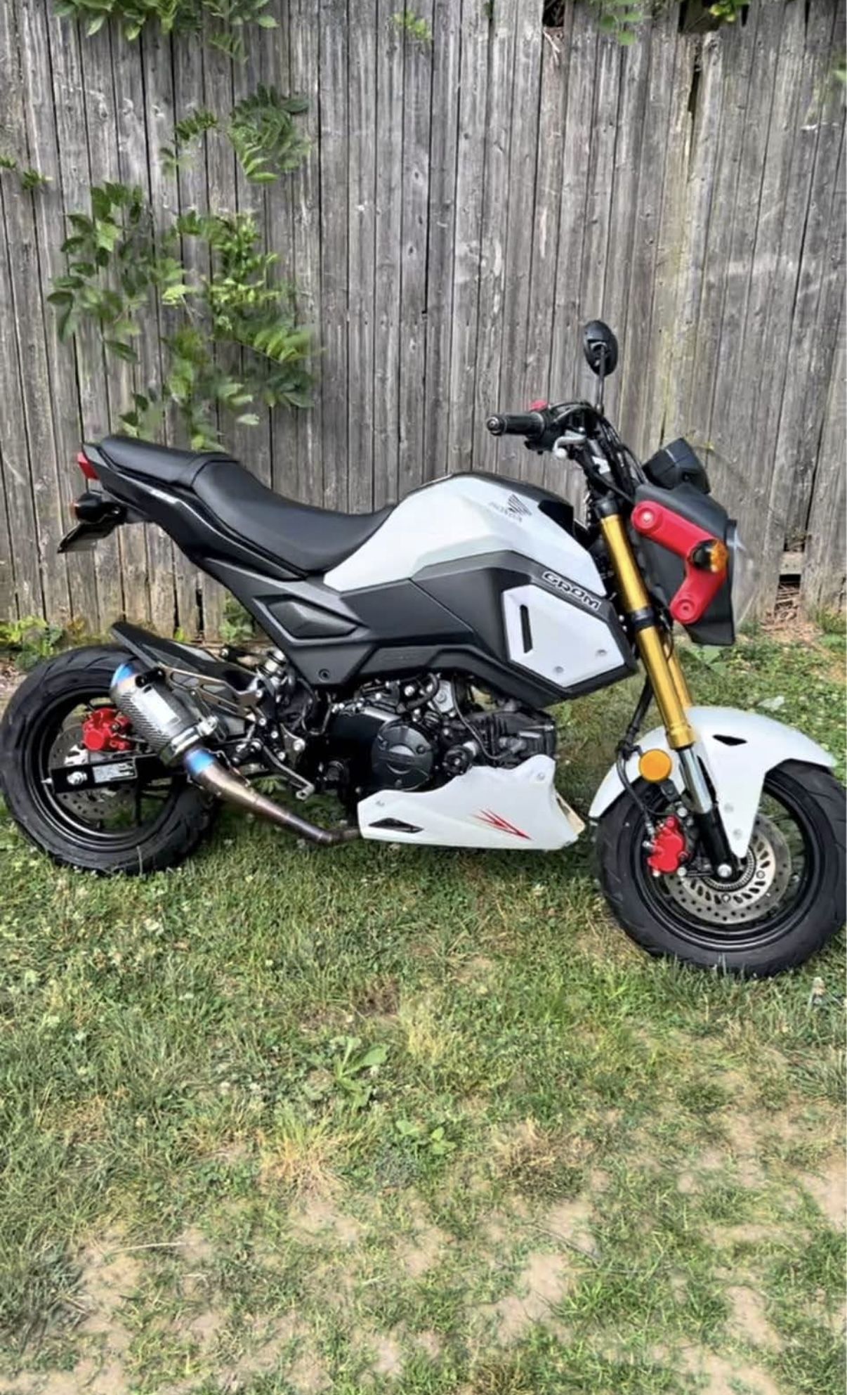 2020 Honda Grom ABS