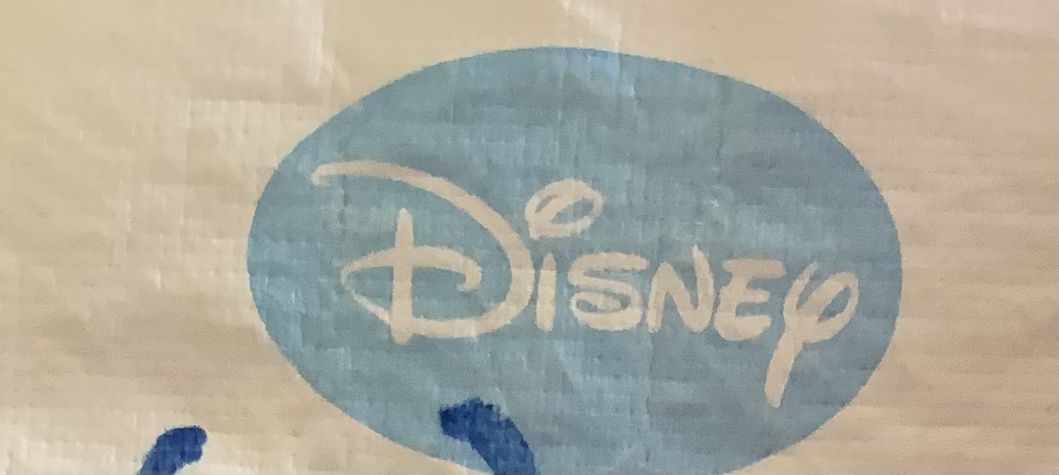 Finding Nemo Pillowcase
