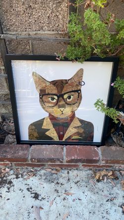 Cat in glasses