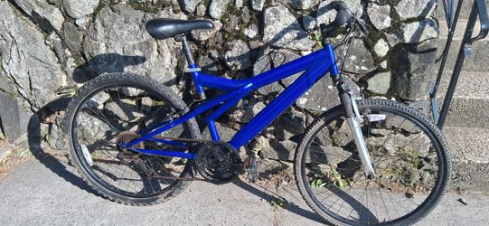 Mens custom moutain bike front shocks
