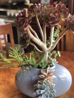 A Beautiful Centre Table Arrangement