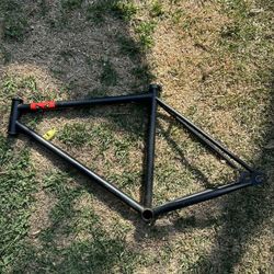 Fixed Gear Frame