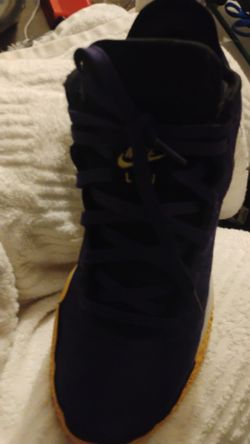 LeBron James Air zoom size 9.5