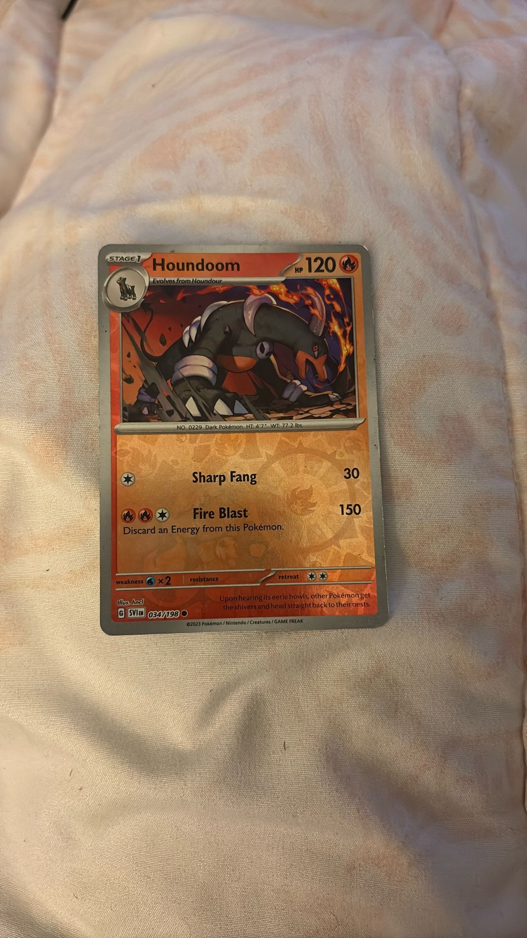 Pokémon Card