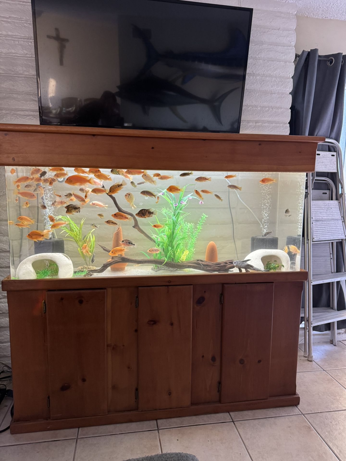Fish Tank Aquarium Acrylic 125 Gallon