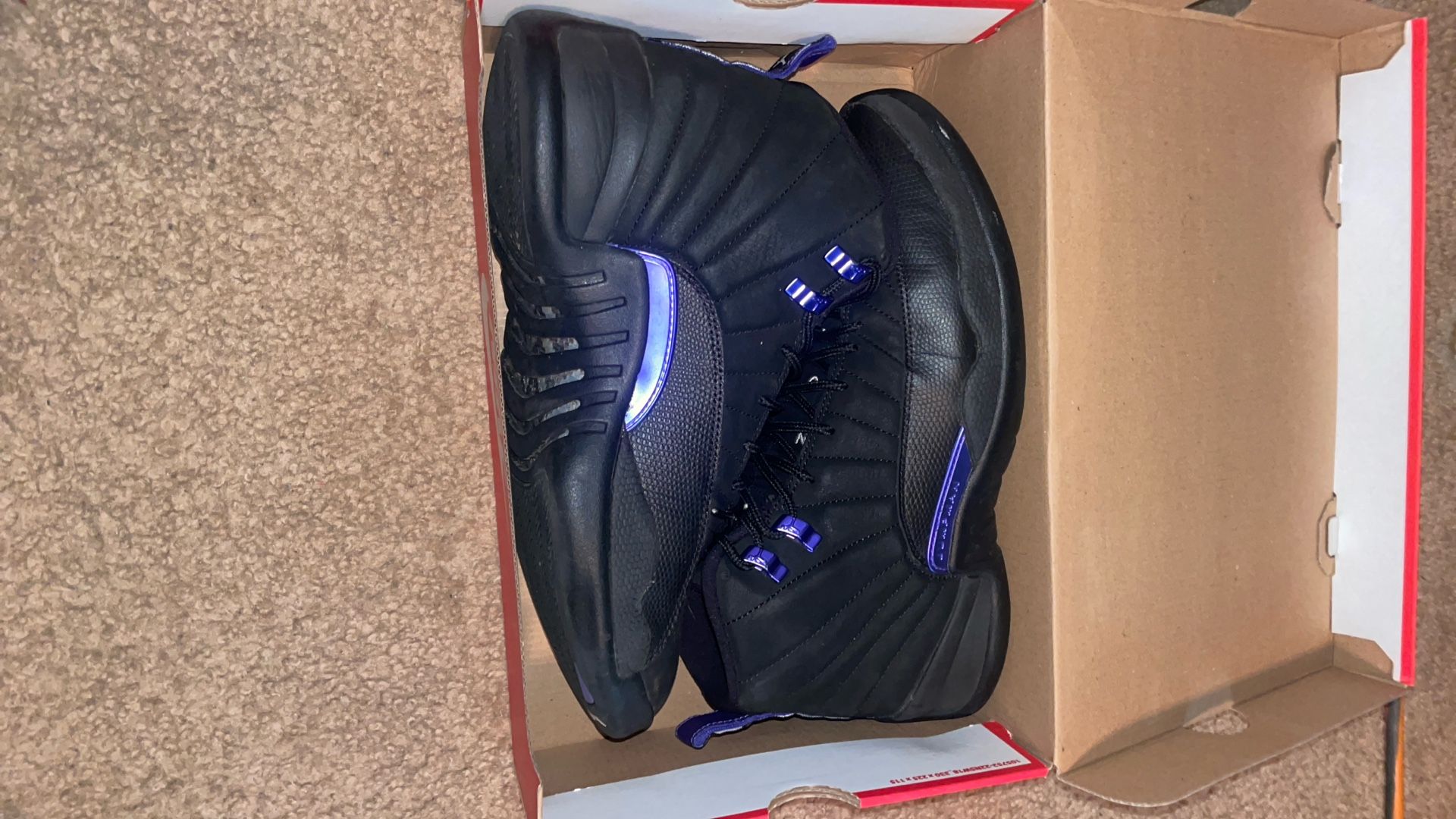 Jordan 12 Retro Dark Concord