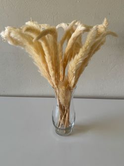 Fall Decor Dried off white NEW Pampas Grass 23 pieces 2” long with base