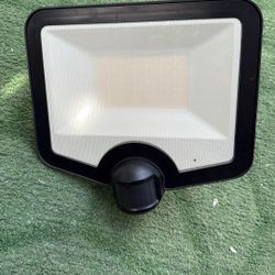 Good Earth Lighting Hyper-Bright LED Motion-Activated Security Floodlight