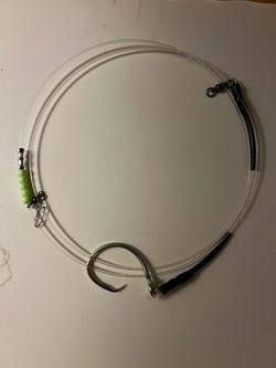 Shark rigs