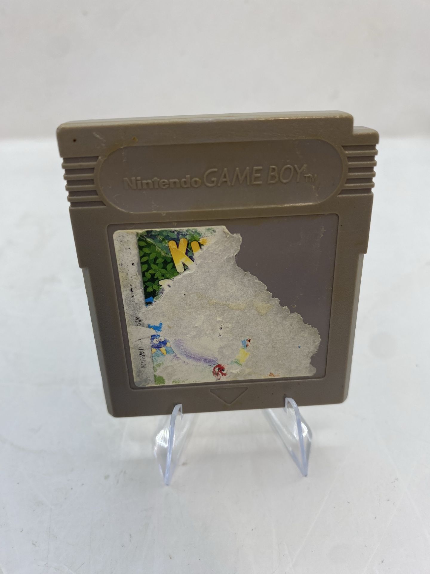 Image #1