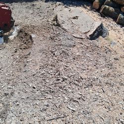 Toro 