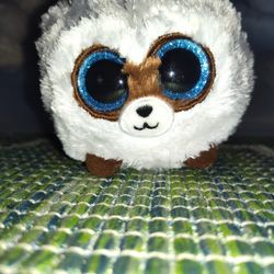 Raccoon Plush 