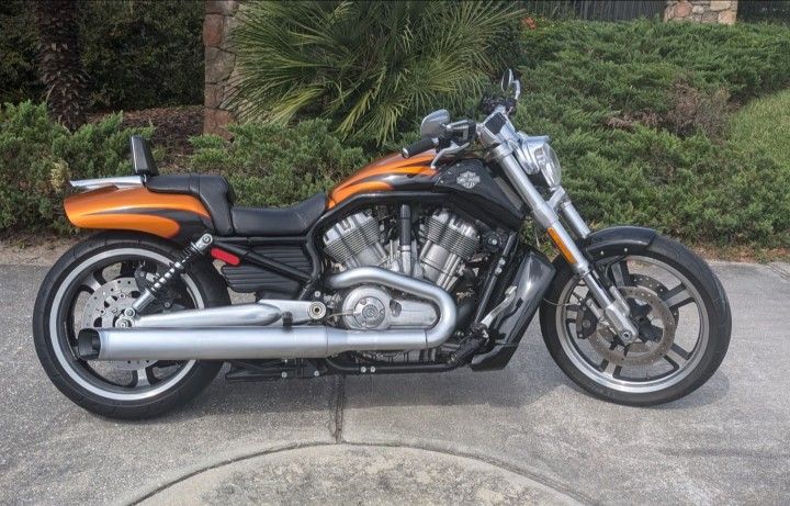 2014 Harley Davidson V-Rod Muscle