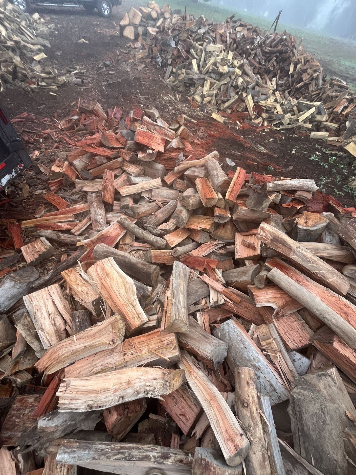 Dry Firewood Ready To Burn