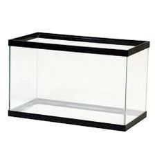 10 Gallon Fish Tanks 
