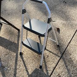 Step Stool Ladder (read Ad)