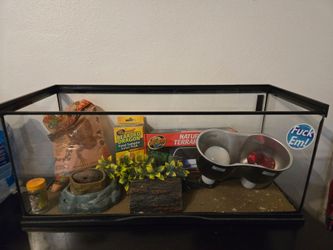 Reptile Tank