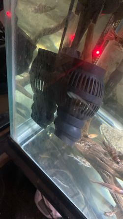 75 Gallon Fish Tank Etc