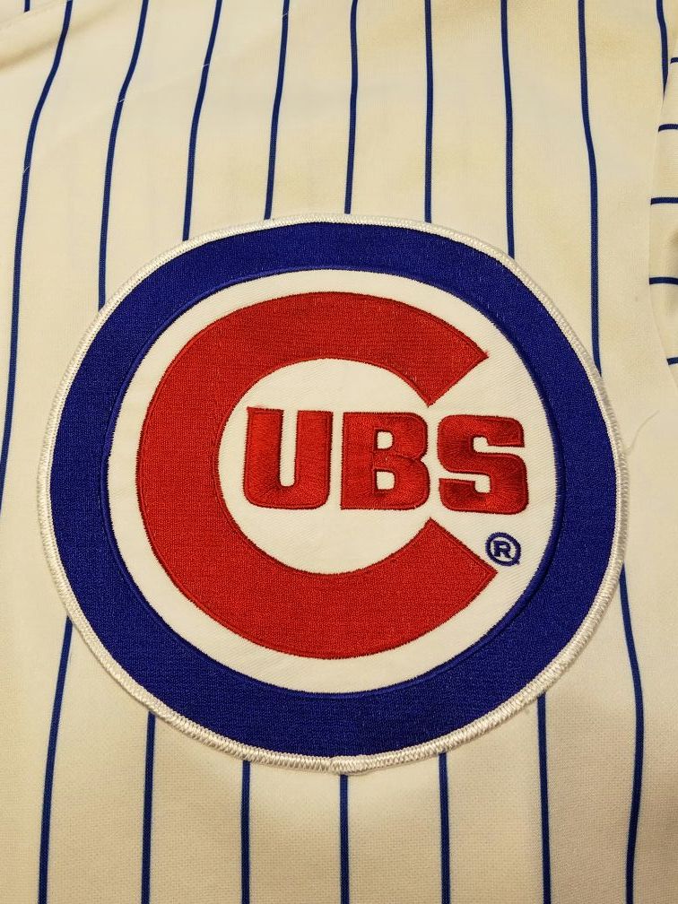 Cubs Jersey Large