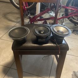 Car Door Speakers 