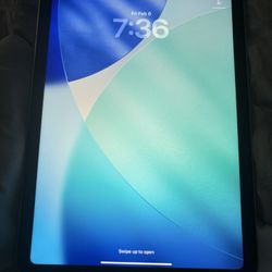 Apple iPad A16 256GB Silver Wifi+Cellular