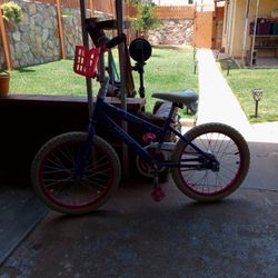 16"  Girls Bike $40